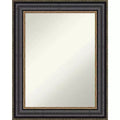 24" x 30" Non-Beveled Thomas Black Bronze Wall Mirror - Amanti Art