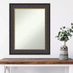 24" x 30" Non-Beveled Thomas Black Bronze Wall Mirror - Amanti Art