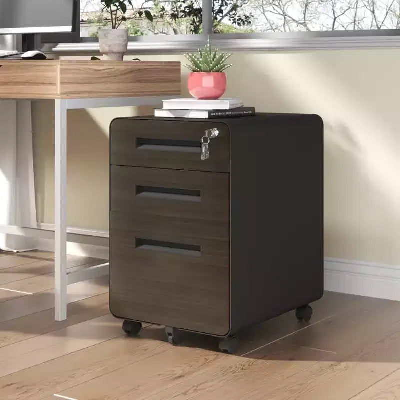 Classeur mobile VIYET 23H avec serrure - Entièrement en acier, entièrement assemblé, conception anti-basculement et roulettes verrouillables, pour documents A4/Letter, pour la maison/le bureau (Noir)
