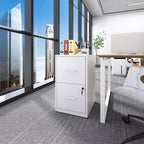 VIYET 25H 2-Drawer Lockable Vertical File Cabinet,Heavy-Duty Steel for Letter/Legal/A4/F4,Anti-Tip for Home Office(white)