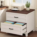 Farmhouse Lateral File Cabinet, Extension Drawers, 2 Drawers, Sturdy Frame, for Office, Home