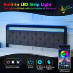 Full Size Metal Platform Bed Frame with LED Lights & 2 Storage Drawers, Noise-Free, No Box Spring Needed, Easy Assembly, Gray