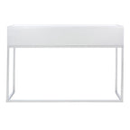 SAFAVIEH Ethyle 2-Drawer Mirrored Desk