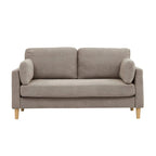 Modern Minimalist 2-Seater Sofa