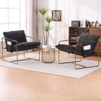 30.7 Arm Chair with Metal Frame and Gold Accents (Set of 2)