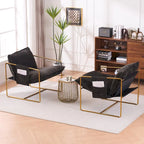 30.7 Arm Chair with Metal Frame and Gold Accents (Set of 2)