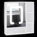 kleankin LED Light Medicine Cabinet with Mirror Door, Wall-Mounted Bathroom Vanity Organizer with Dimmer Touch Switch, and USB Charge, White