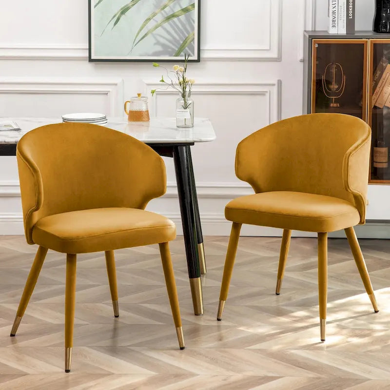 Chaises de salle à manger Porthos Home Ryn en velours avec garniture dorée, lot de 2