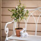 Sullivans Crisp White Metal Garden Bench 36H White - 45.5L x 18.5W x 36H