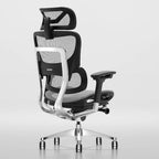 OdinLake High Back Office Chair Home Desk Chair Computer Chair Whitout Footrest
